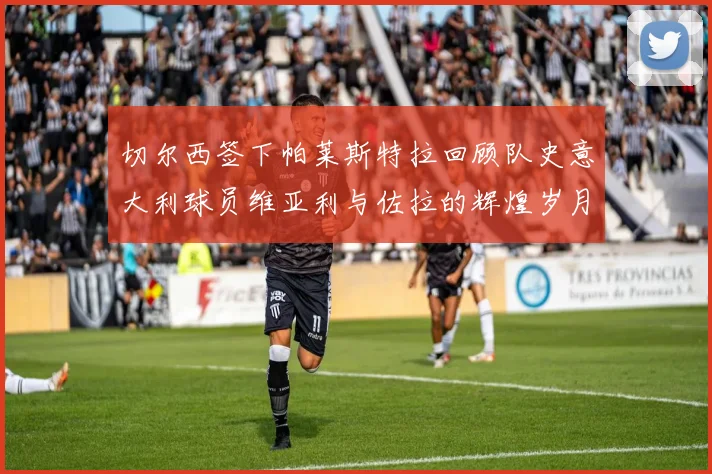 切尔西签下帕莱斯特拉回顾队史意大利球员维亚利与佐拉的辉煌岁月
