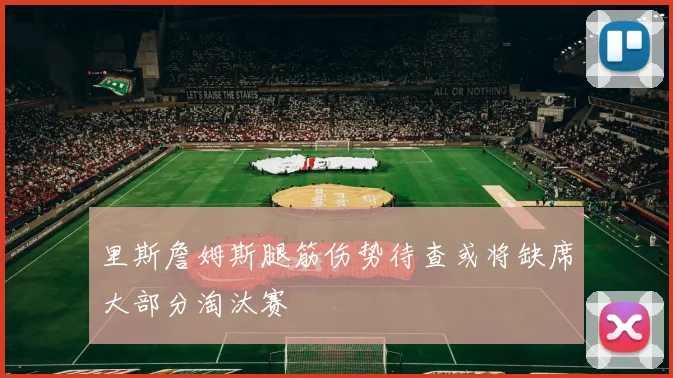 里斯詹姆斯腿筋伤势待查或将缺席大部分淘汰赛